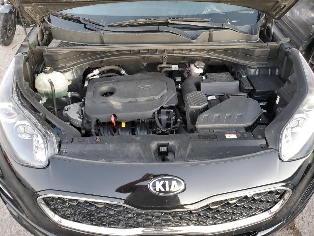 2020 Kia Sportage Lx VIN: KNDPMCAC7L7808824 Lot: 79480914