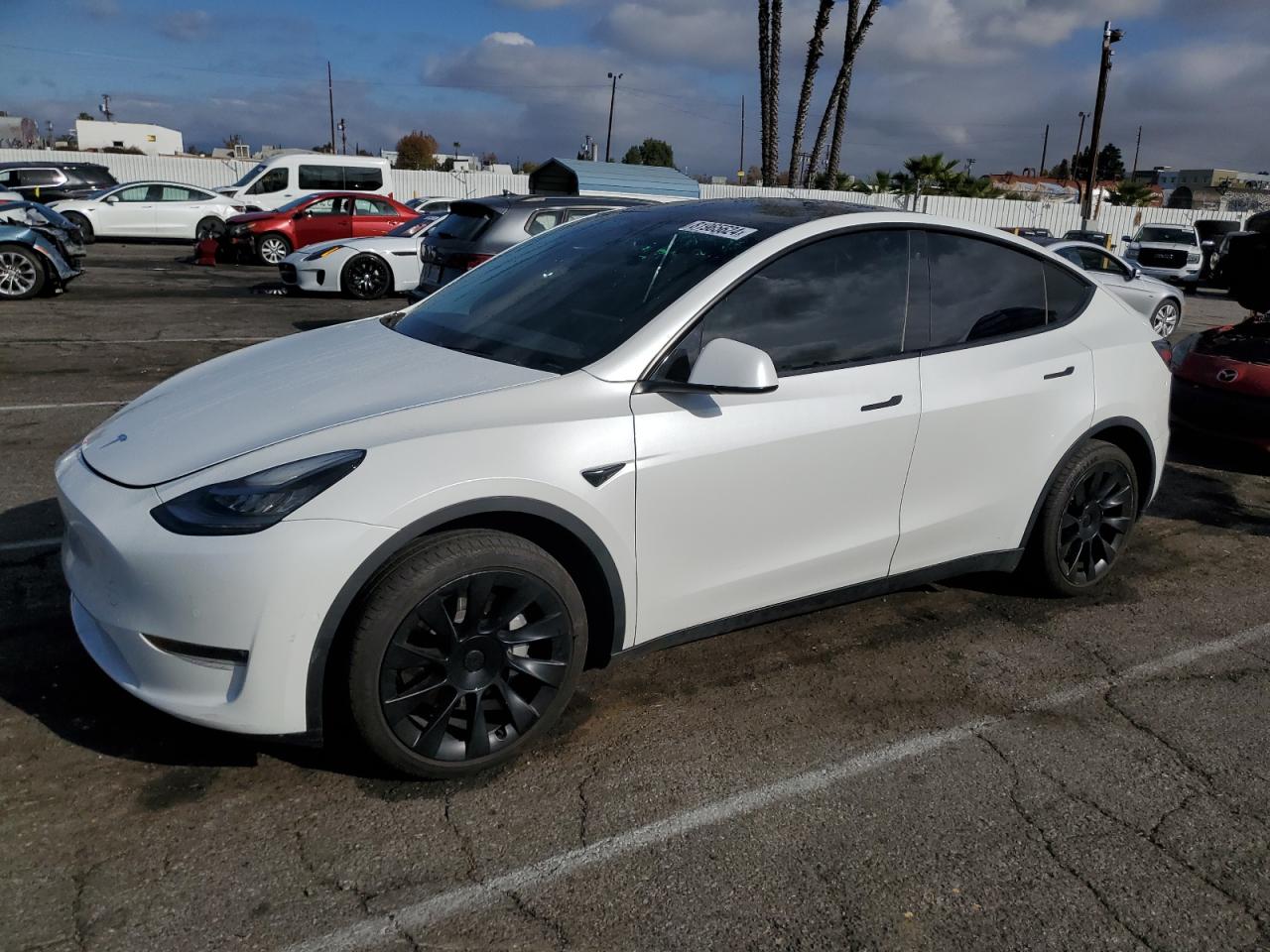 VIN 5YJYGDEE9LF055305 2020 TESLA MODEL Y no.1