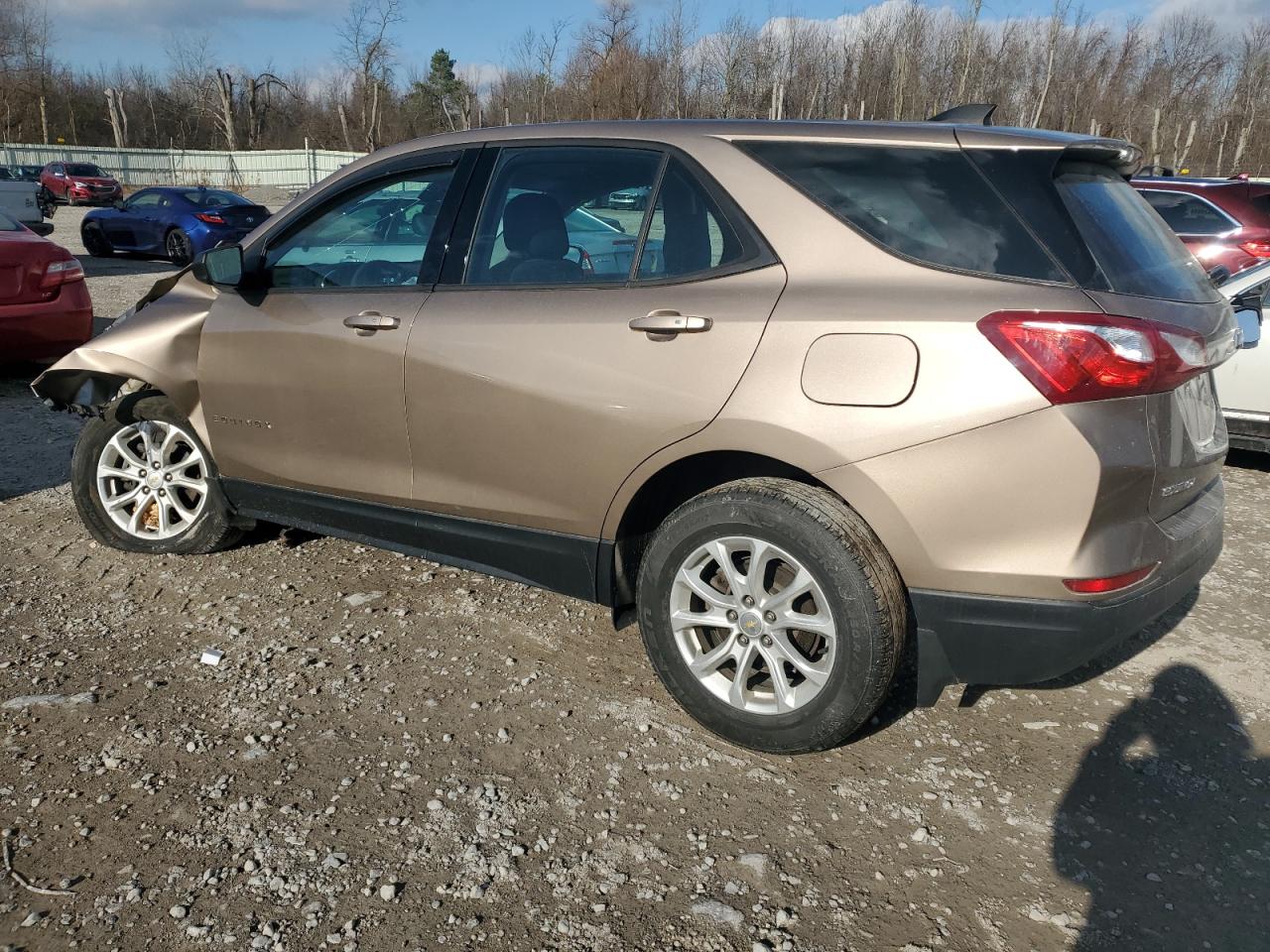 2019 Chevrolet Equinox Ls VIN: 2GNAXSEV0K6206713 Lot: 80918564