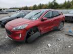 2022 Ford Escape Sel for Sale in Memphis, TN - Side