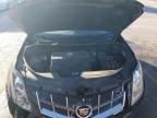 2012 Cadillac Srx Luxury Collection for Sale in Rogersville, MO - Front End