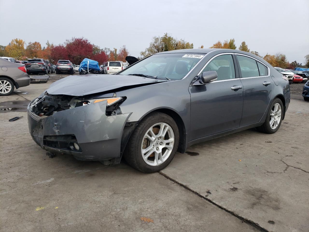 2009 Acura TL - Image 1