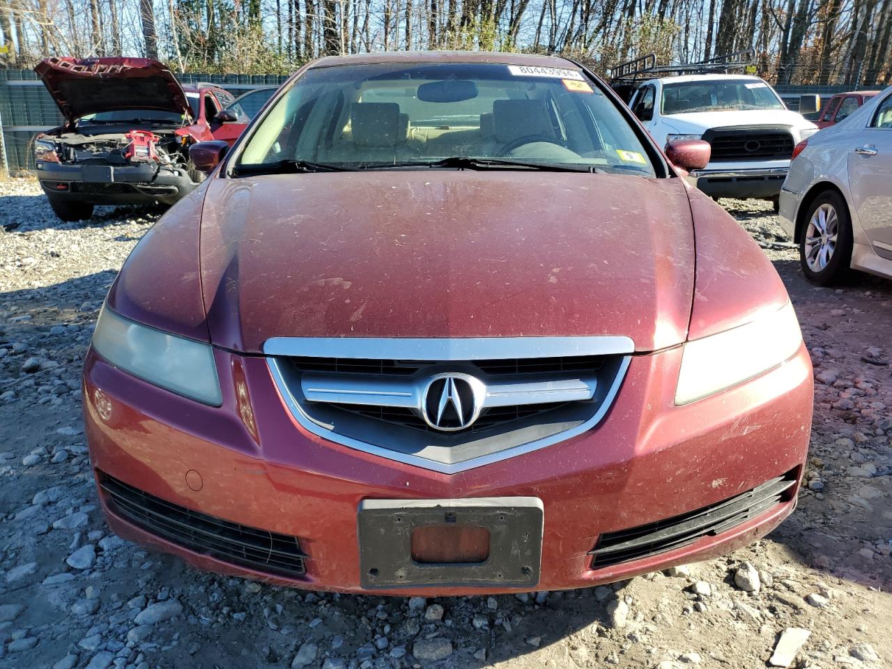 2004 Acura Tl VIN: 19UUA65574A020219 Lot: 80443994