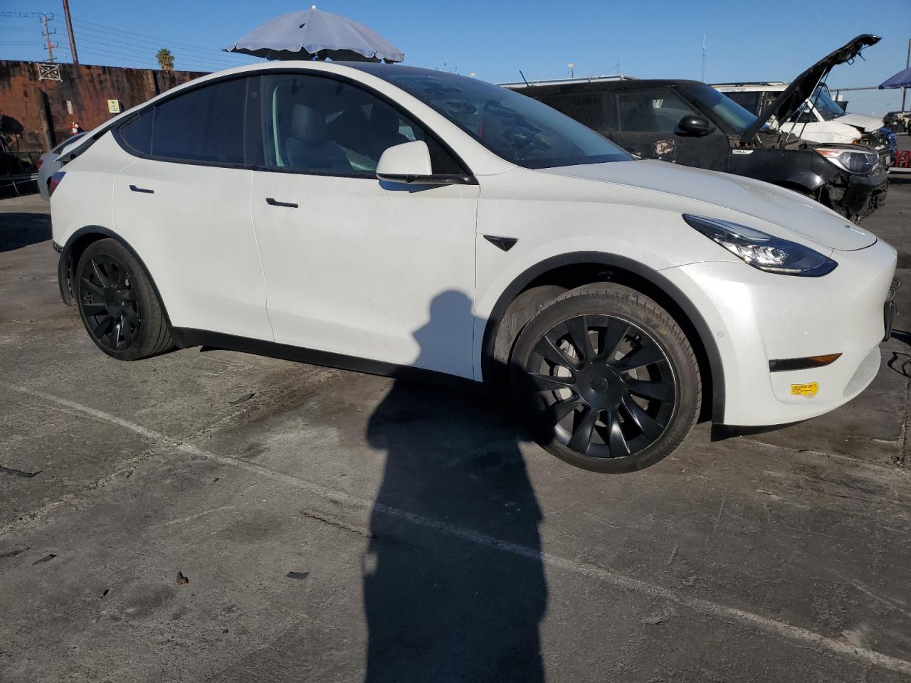 2022 Tesla Model Y VIN: 7SAYGDEE6NF346785 Lot: 79568954