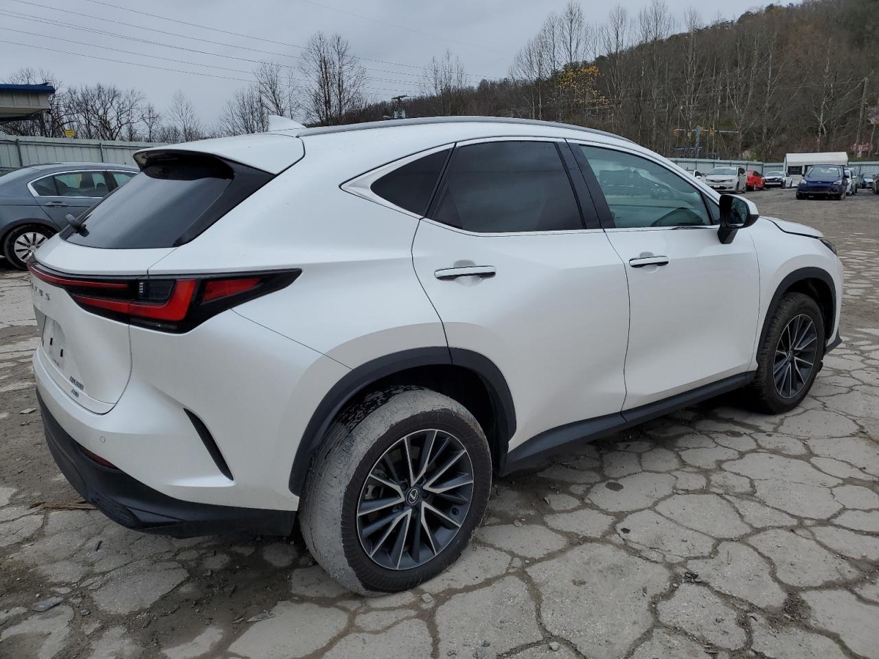 2024 Lexus NX - Image 3