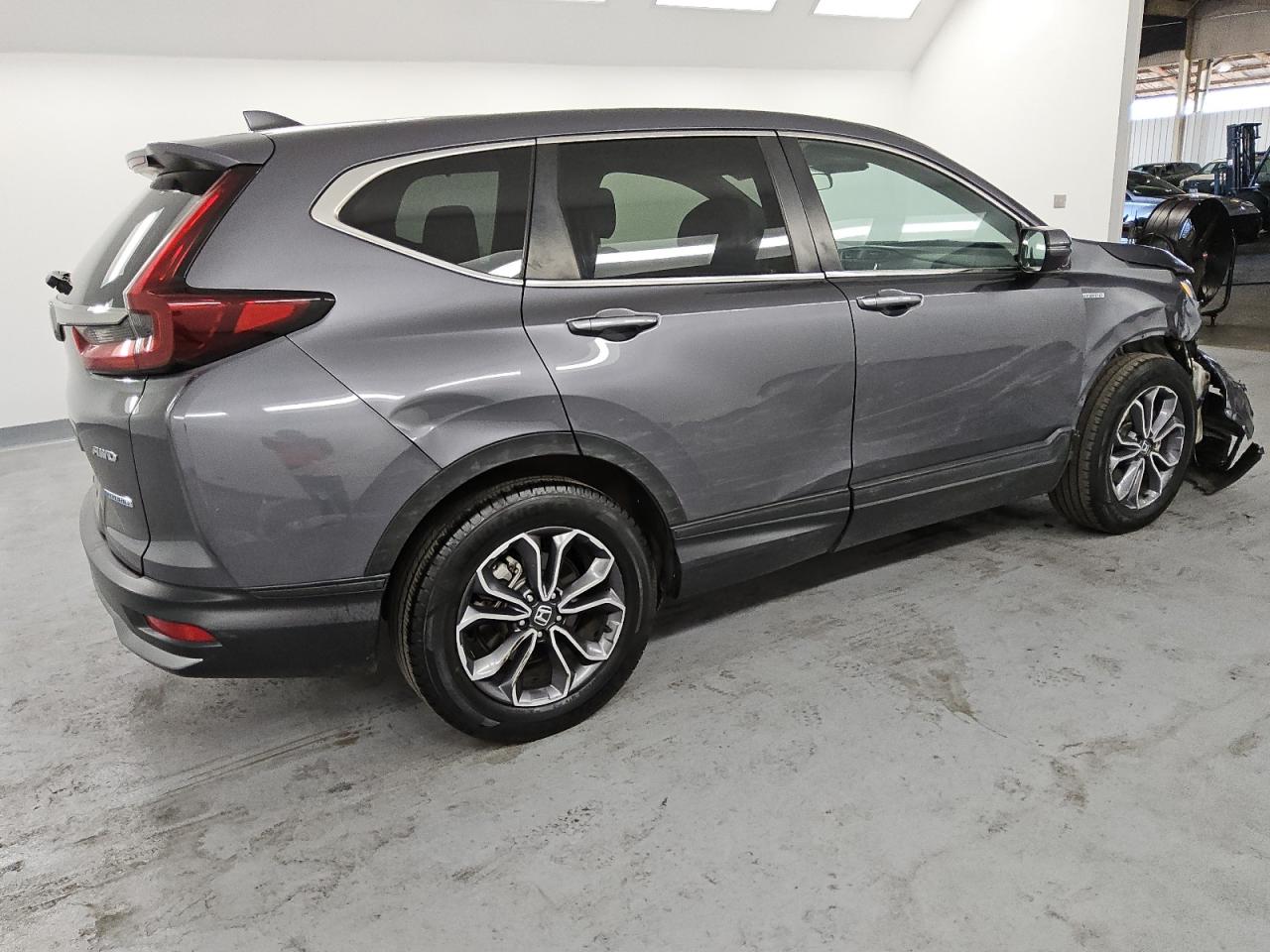 2022 Honda Cr-V Ex VIN: 5J6RT6H53NL041546 Lot: 80392554