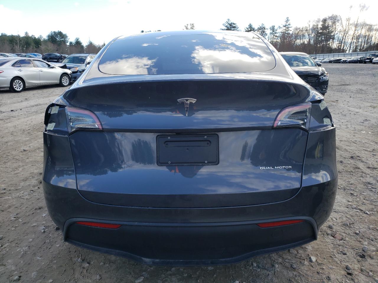 2023 Tesla Model Y VIN: 7SAYGDEE7PF595809 Lot: 80147434