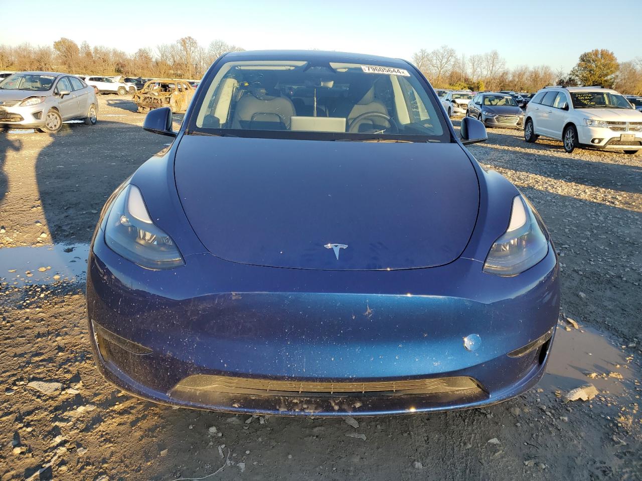 VIN 7SAYGDEE5RA219416 2024 TESLA MODEL Y no.5