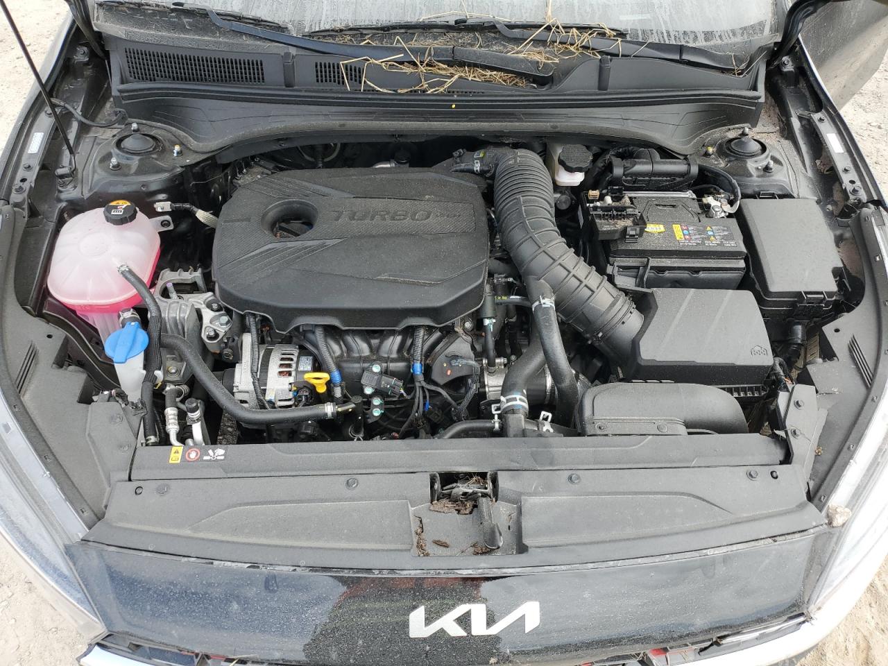 2024 Kia Forte - Image 11