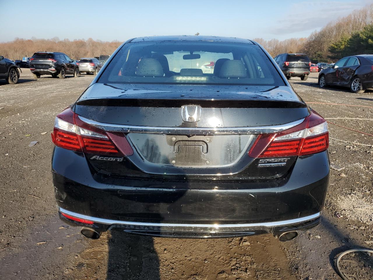 2017 Honda Accord Sport Special Edition VIN: 1HGCR2F17HA010708 Lot: 81233094