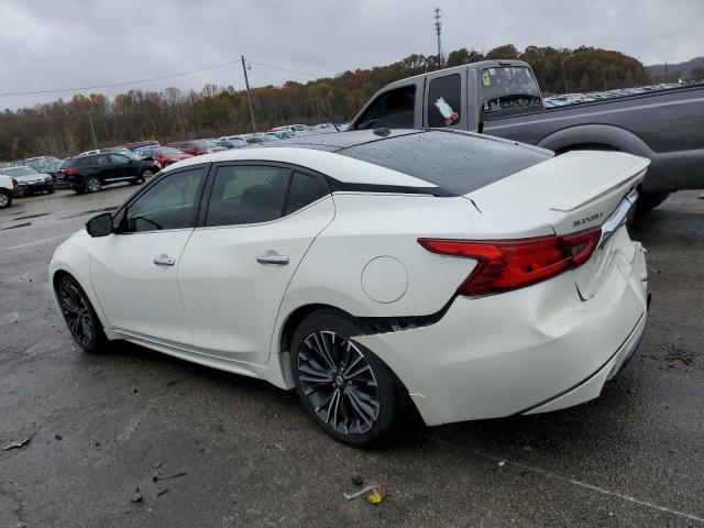 Седаны NISSAN MAXIMA 2016 Белы