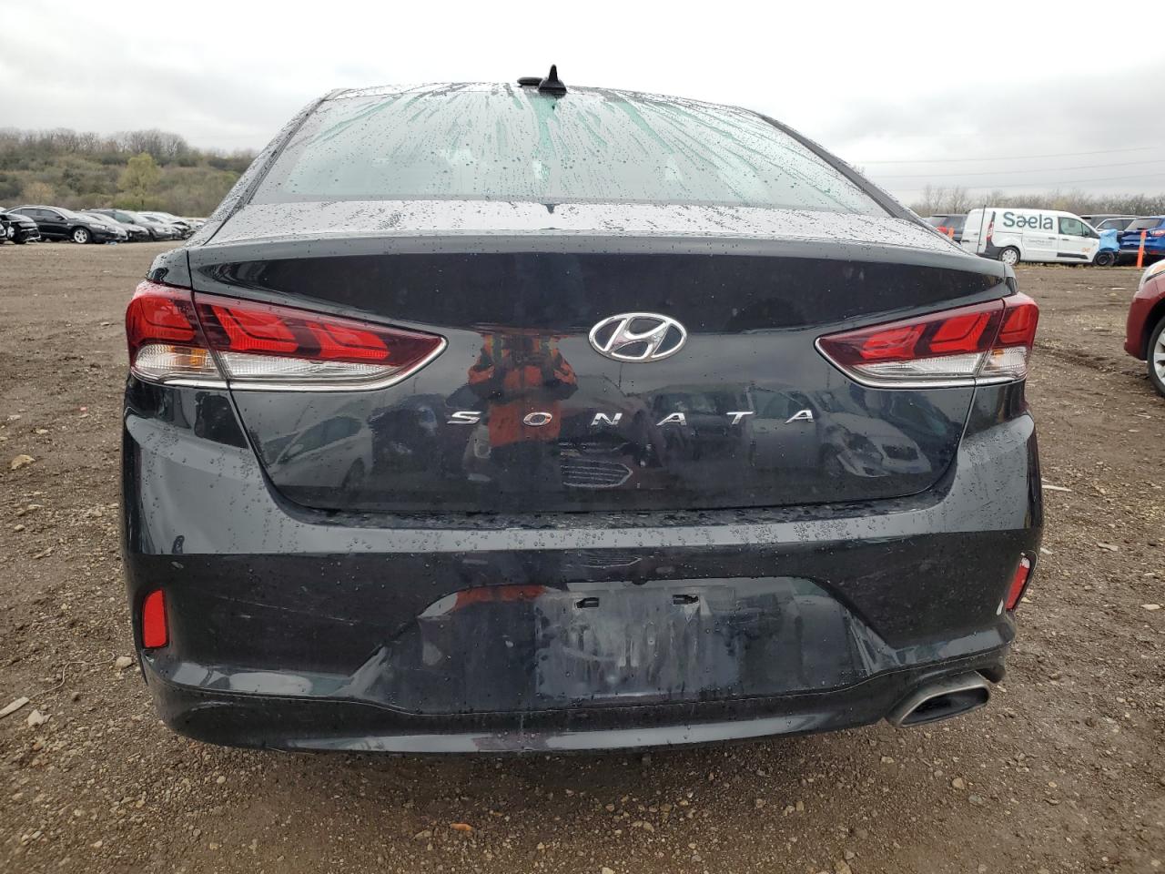 2019 Hyundai Sonata Limited VIN: 5NPE34AF3KH816553 Lot: 80549954