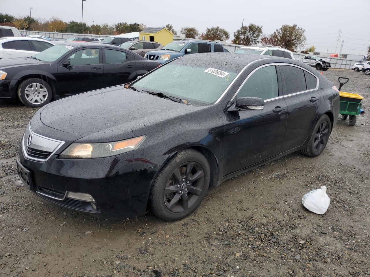 VIN 19UUA8F56DA011098 2013 ACURA TL no.1