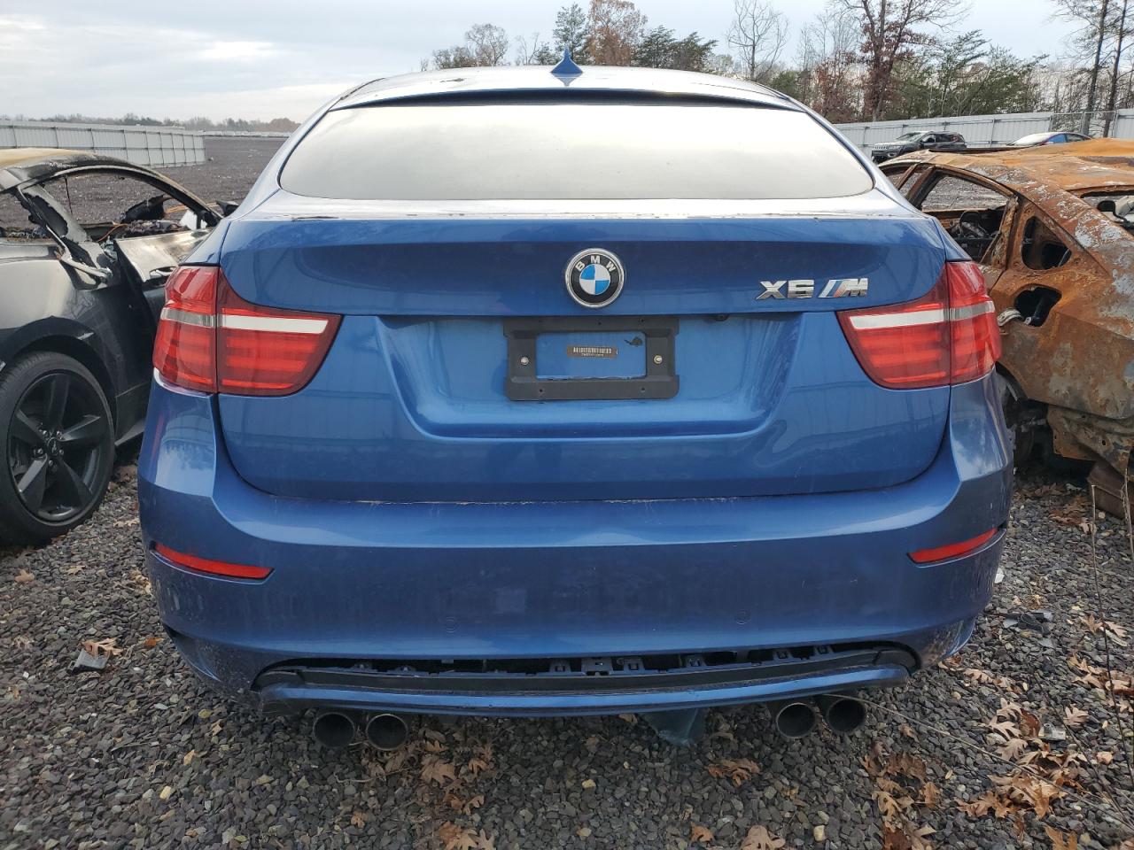 2013 BMW X6 M VIN: 5YMGZ0C55DLL30143 Lot: 81523934