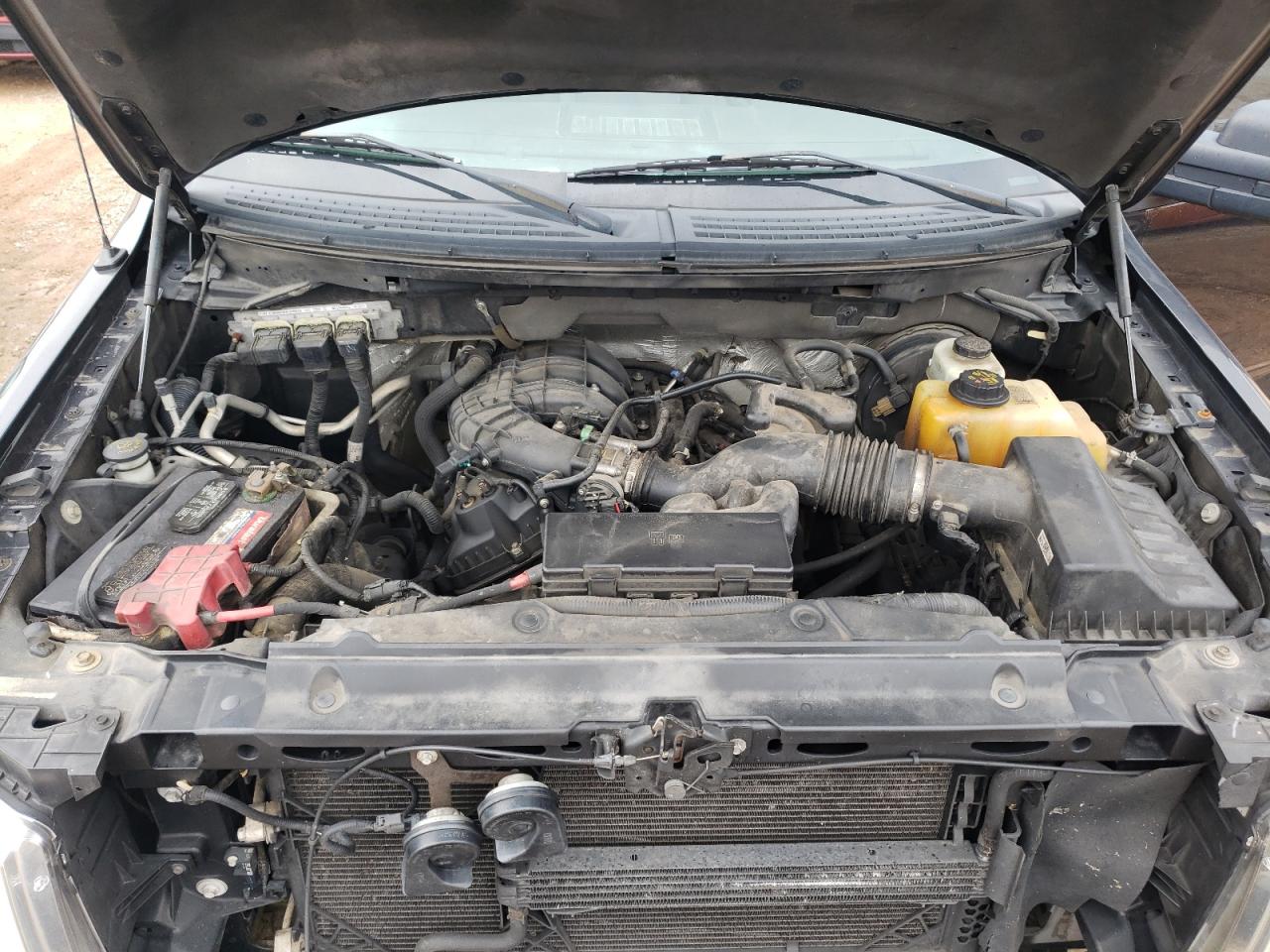 2013 Ford F150 VIN: 1FTMF1CM8DFC77115 Lot: 79732144