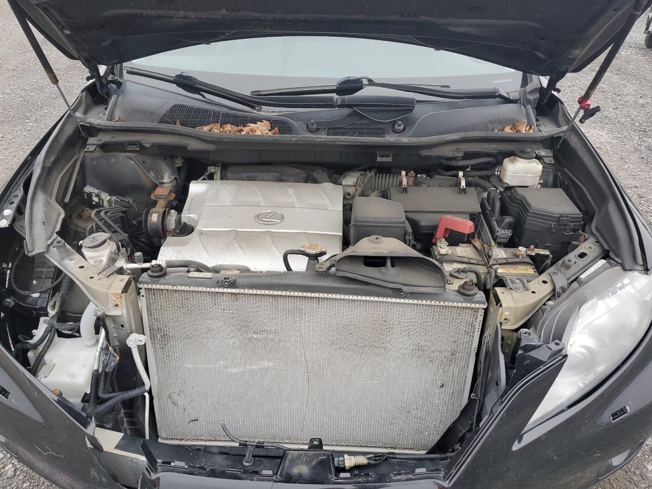2010 Lexus Rx 350 VIN: 2T2BK1BA4AC057996 Lot: 81871494