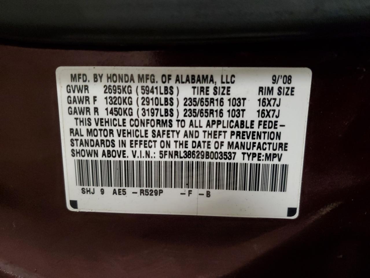 2009 Honda Odyssey Exl VIN: 5FNRL38629B003537 Lot: 80287304