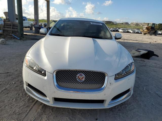  JAGUAR XF 2015 Білий