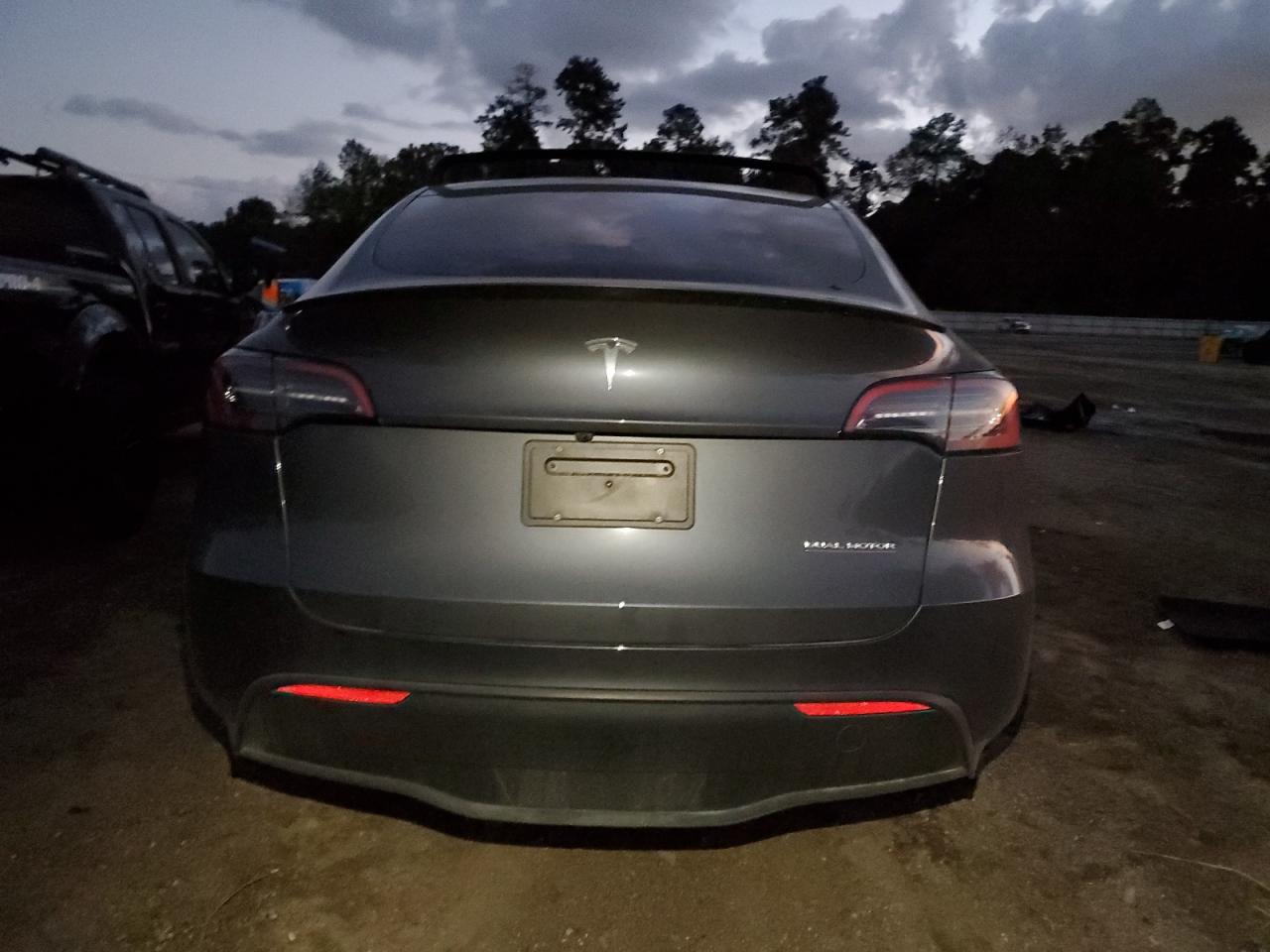 2023 Tesla Model Y VIN: 7SAYGDEFXPF941618 Lot: 79555774