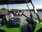 2023 Golf Cart Cart en Venta en Arcadia, FL - Water/Flood