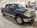 2013 Ford F150 Supercrew продається в Avon, MN - Side