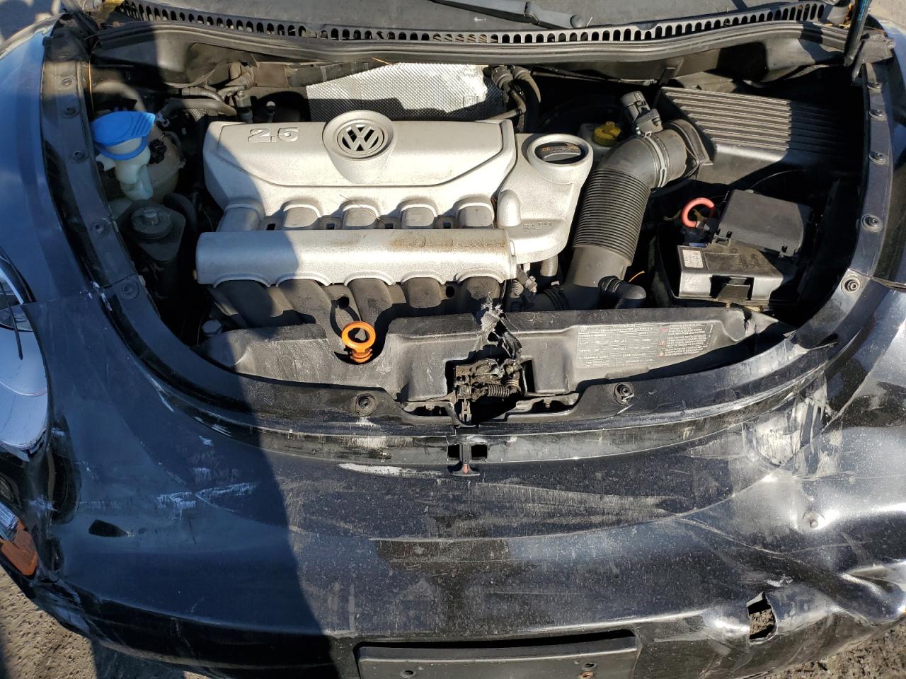 2009 Volkswagen New Beetle S VIN: 3VWPG31C59M503437 Lot: 79548884