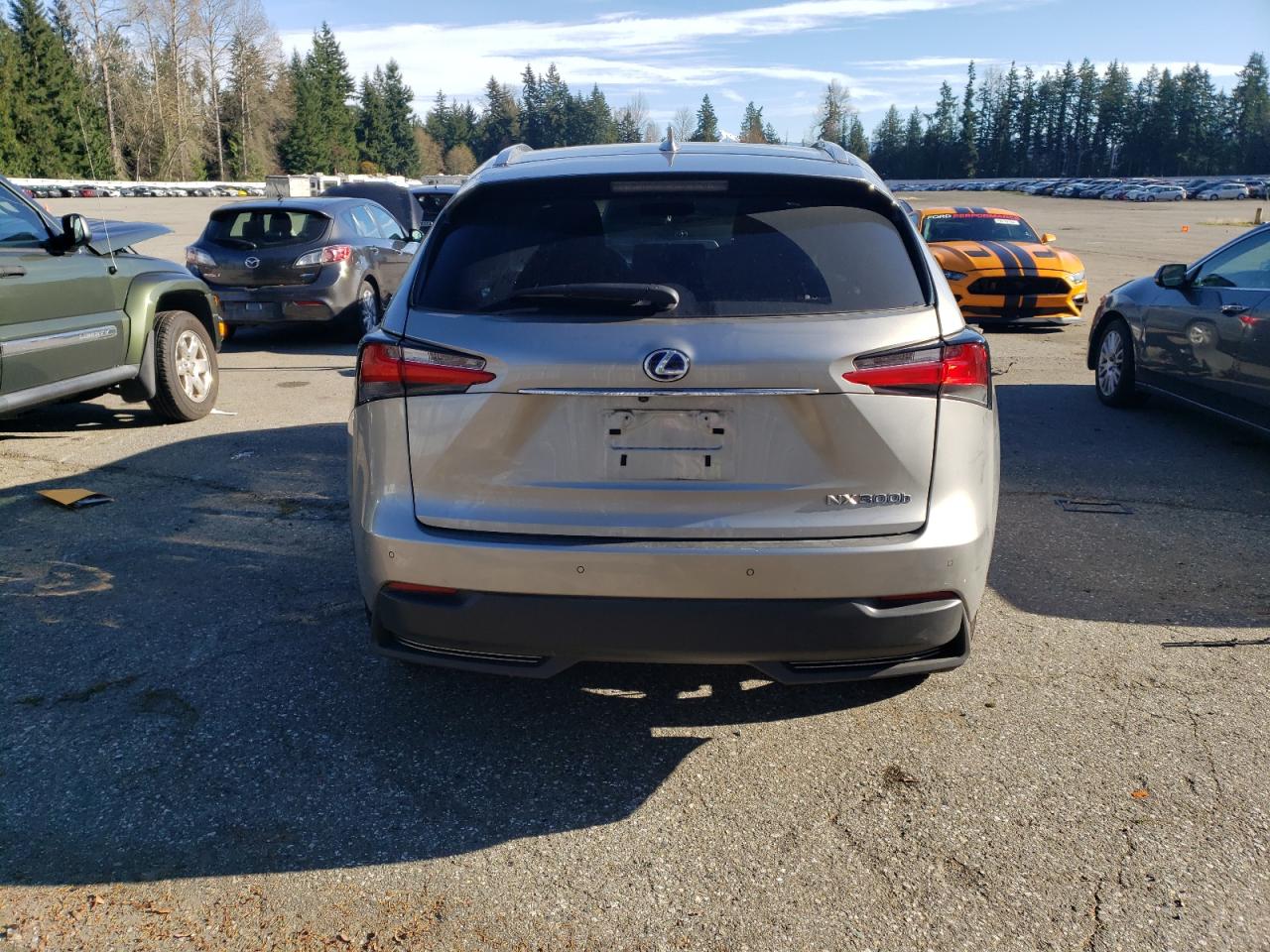 2016 Lexus Nx 300H VIN: JTJBJRBZ1G2040587 Lot: 79770774