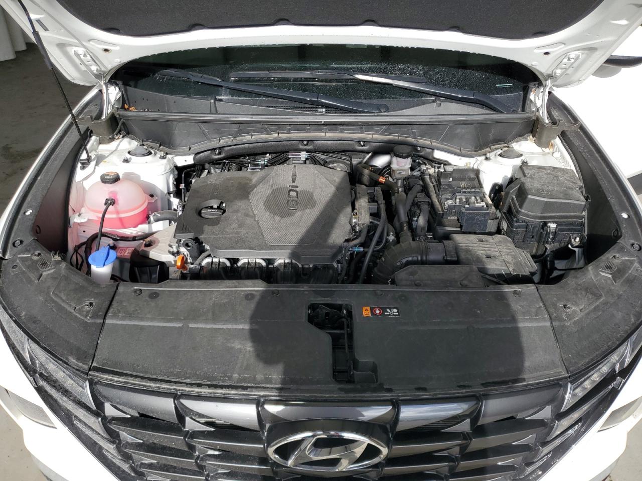 VIN 5NMJBCDE0RH328103 2024 HYUNDAI TUCSON no.12