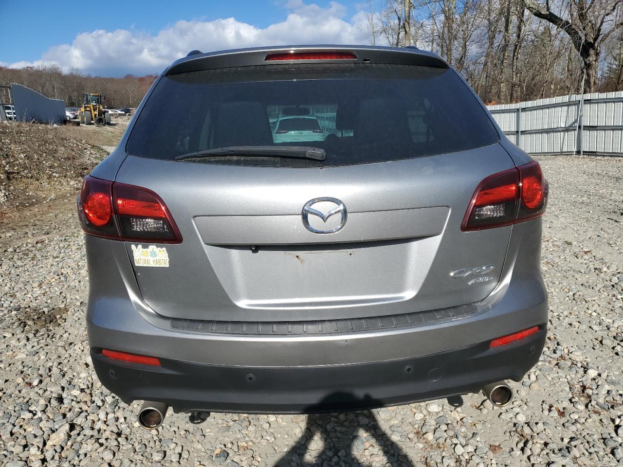 2013 Mazda Cx-9 Touring VIN: JM3TB3CV2D0420968 Lot: 79484724