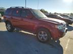 2012 Ford Escape Limited for Sale in Wilmer, TX - Rear End