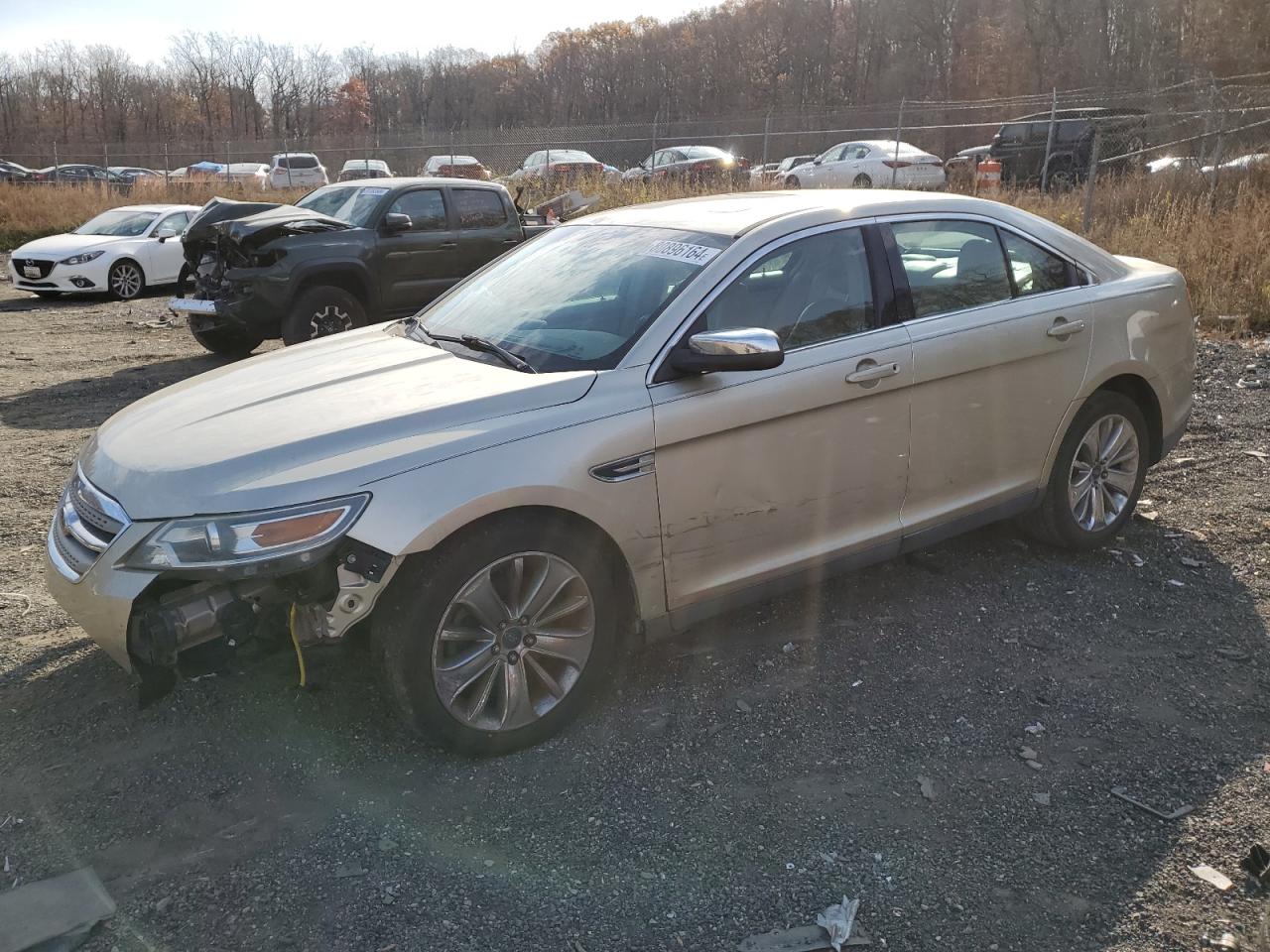 2010 Ford Taurus Limited VIN: 1FAHP2FW9AG153884 Lot: 80896164