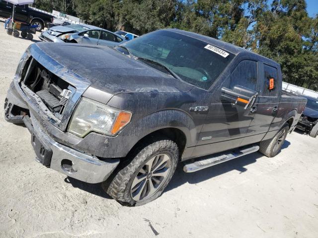 2013 Ford F150 Supercrew zu verkaufen in Ocala, FL - Front End