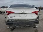 2015 Hyundai Sonata Sport на продаже в Lebanon, TN - Rear End