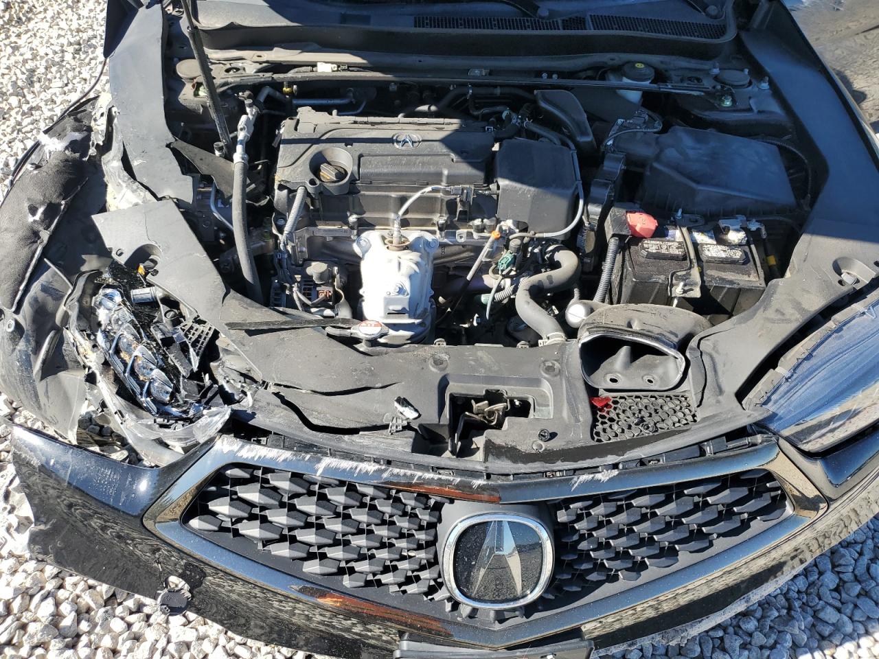 2019 Acura Tlx Technology VIN: 19UUB1F67KA005532 Lot: 81120374