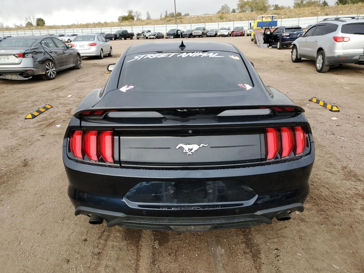 2021 Ford Mustang VIN: 1FA6P8TH5M5135429 Lot: 77651794