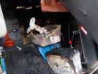 2021 CITROEN RELAY 35 L for sale at Copart CHESTER