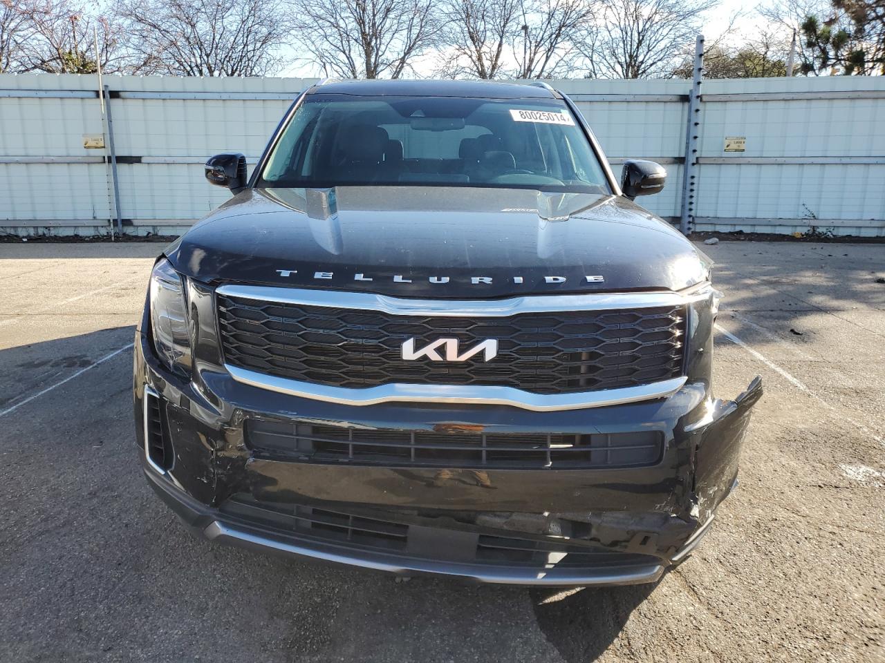 2022 Kia Telluride Ex VIN: 5XYP3DHC5NG314014 Lot: 80025014