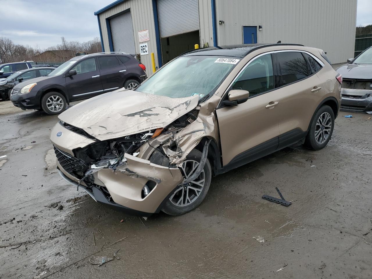 2020 Ford Escape - Image 1