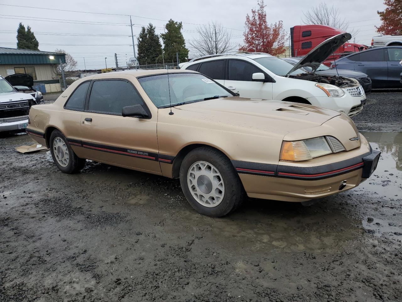 1987 Ford Thunderbird - Image 4