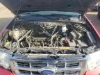 2010 Ford Escape Xlt იყიდება Brighton-ში, CO - Rear End