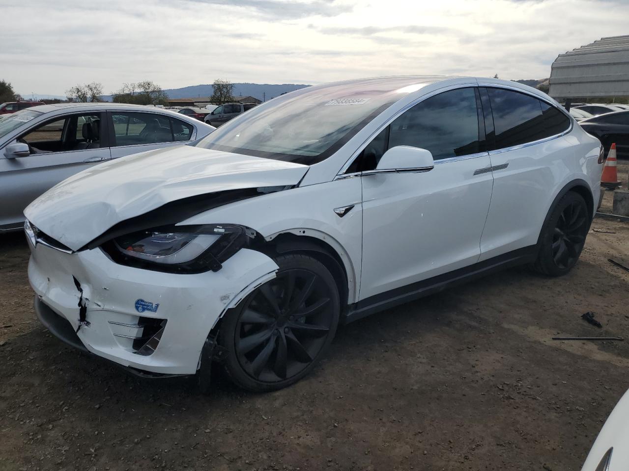 2021 Tesla Model X VIN: 5YJXCAE23MF319485 Lot: 79338584