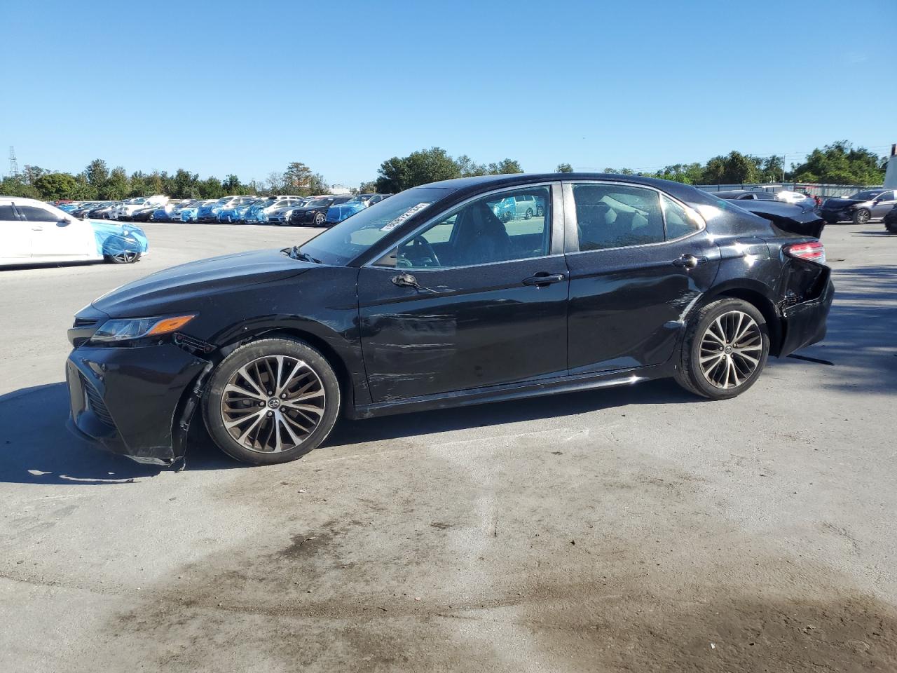 2019 Toyota Camry L VIN: 4T1B11HK8KU166291 Lot: 80872134