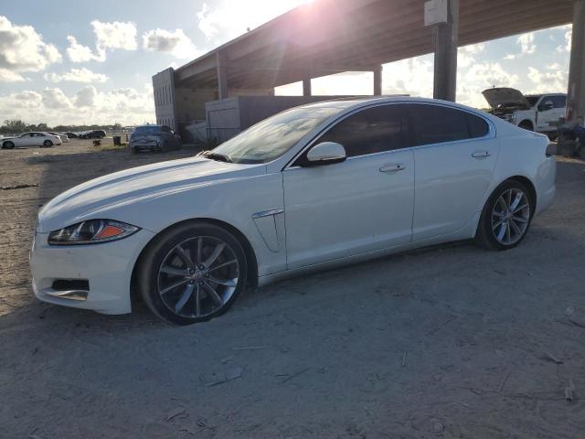  JAGUAR XF 2015 Білий