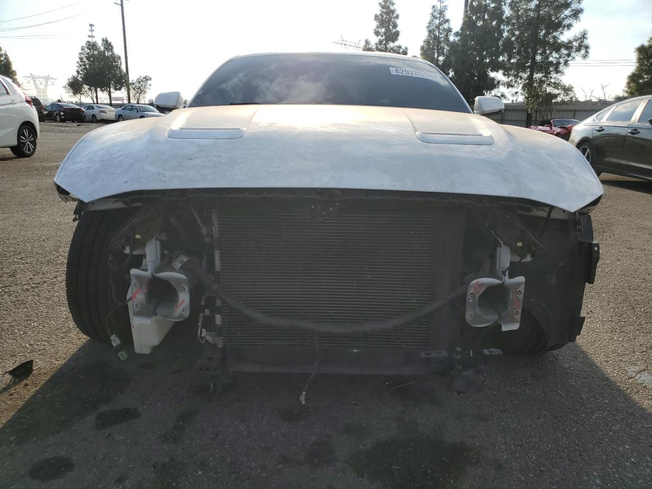 2019 Ford Mustang - Image 5