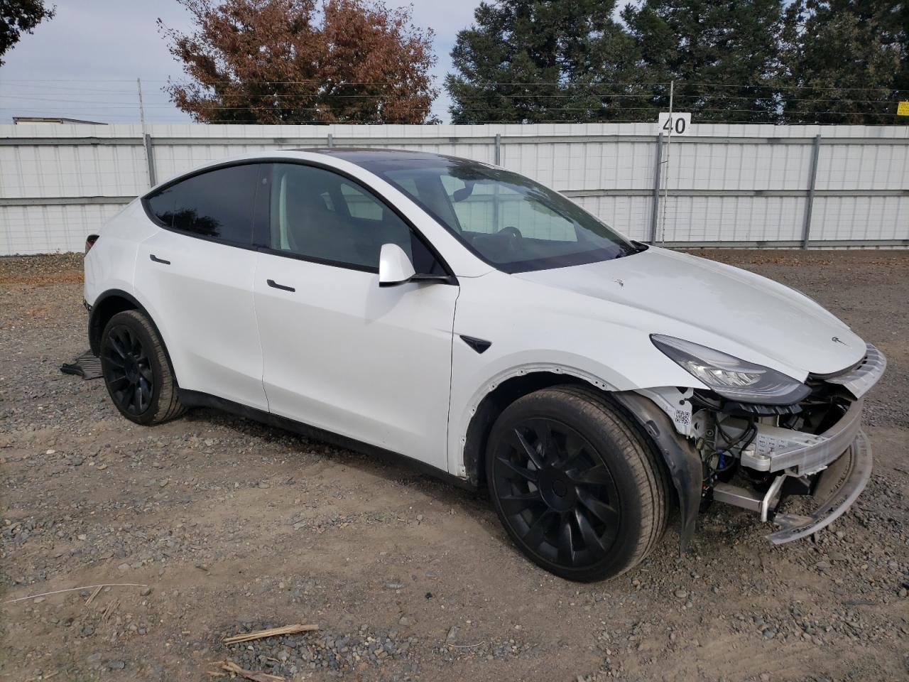 VIN 7SAYGDEE6PA122447 2023 TESLA MODEL Y no.4