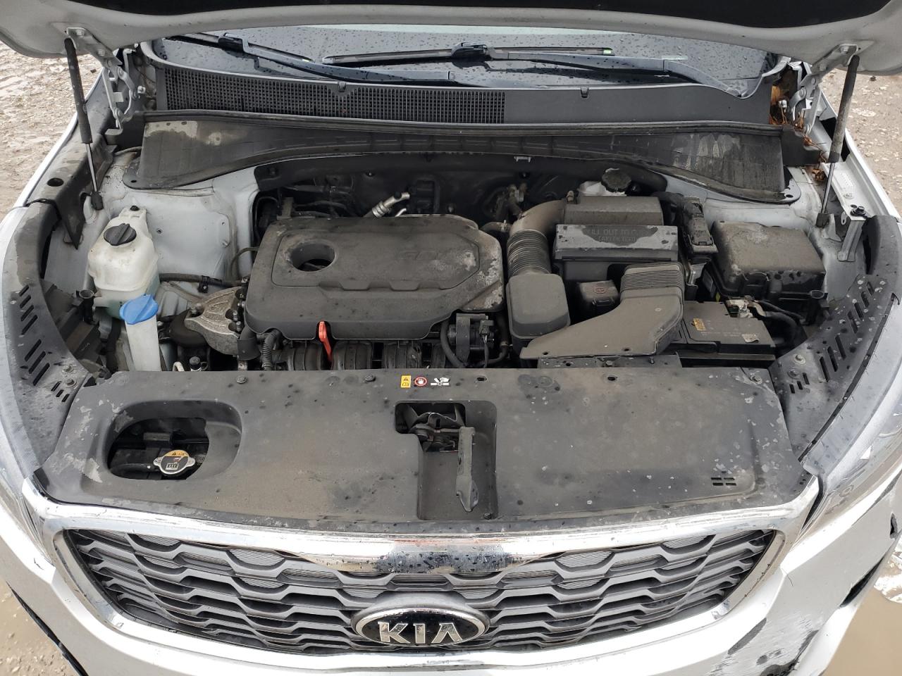 2020 Kia Sorento L VIN: 5XYPGDA31LG620977 Lot: 81103114