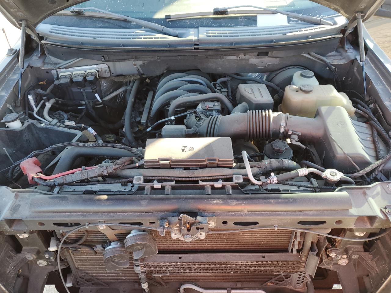 2010 Ford F-150 - Image 11