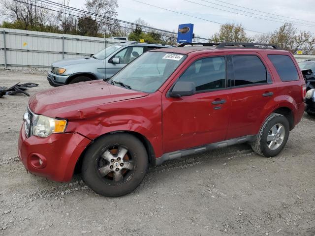 2009 Ford Escape Xlt