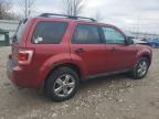 2012 Ford Escape Xlt na sprzedaż w Appleton, WI - Front End