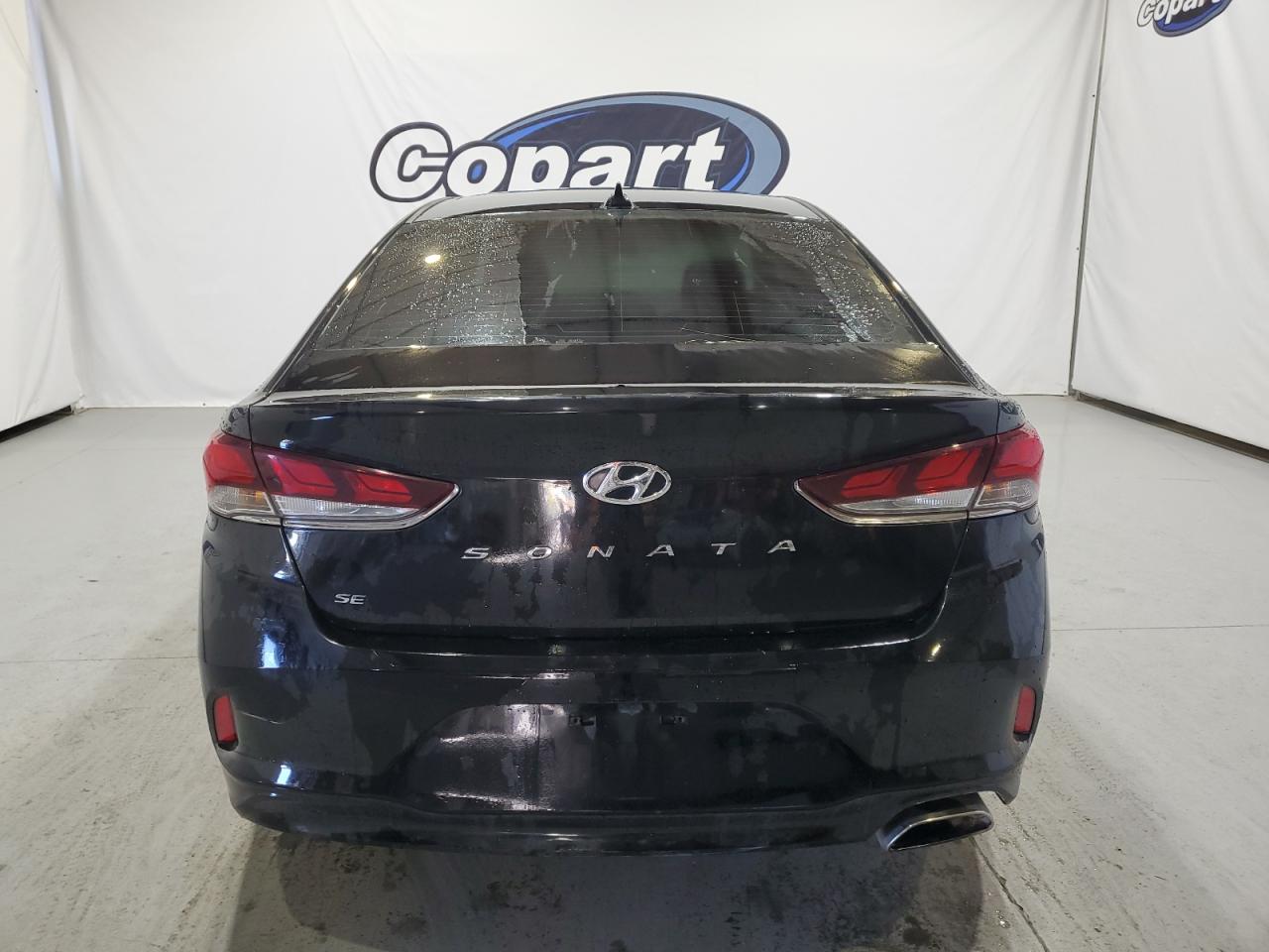 2019 Hyundai Sonata Se VIN: 5NPE24AF4KH758049 Lot: 80327534